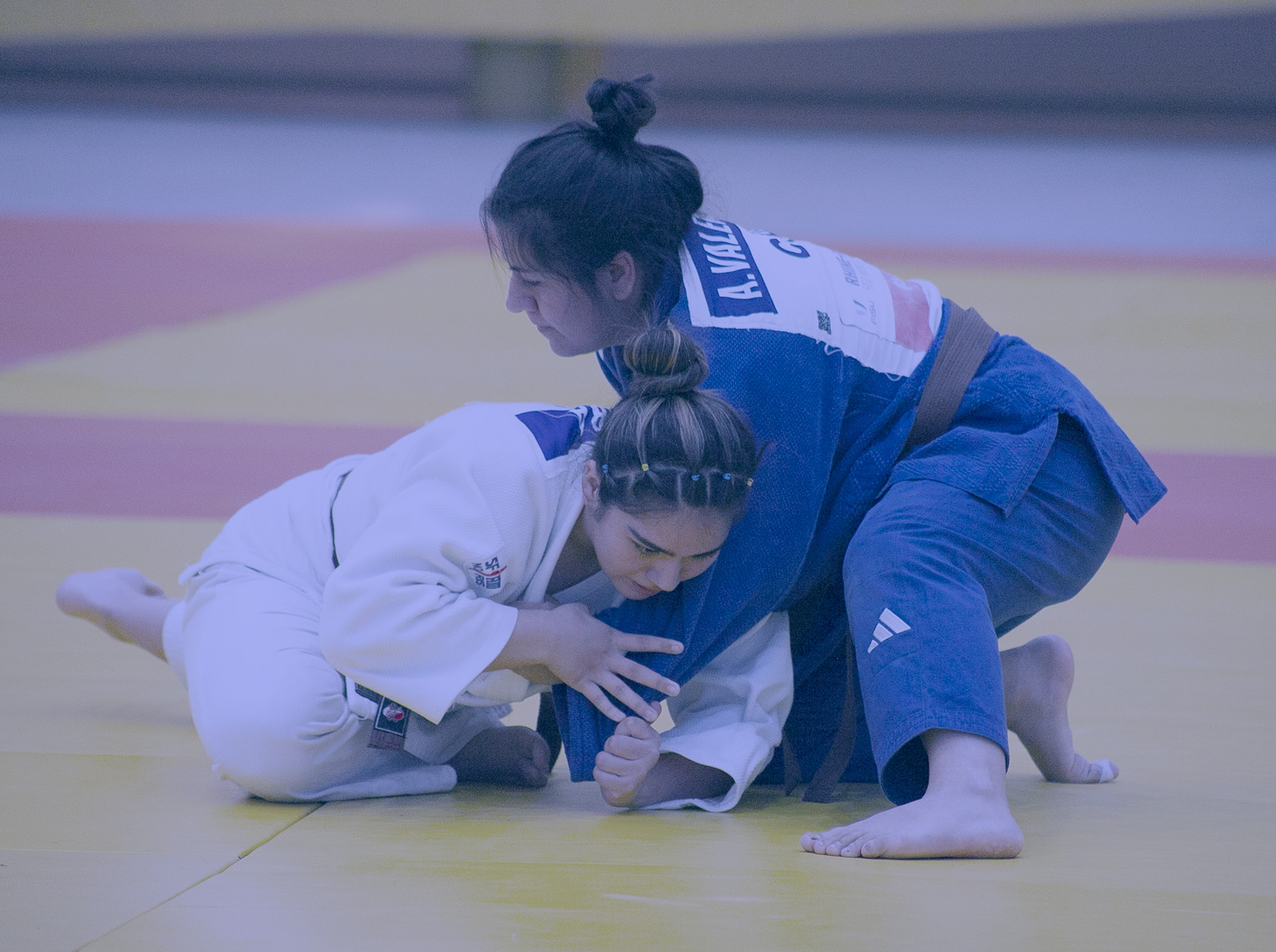 Selección de Judo